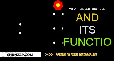 Electric Fuses: Safeguarding Devices from Electrical Surges