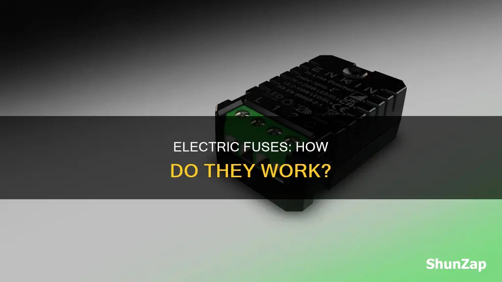 what is electric fuse for class 7