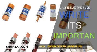 Electric Fuses: Safety Devices Saving Lives