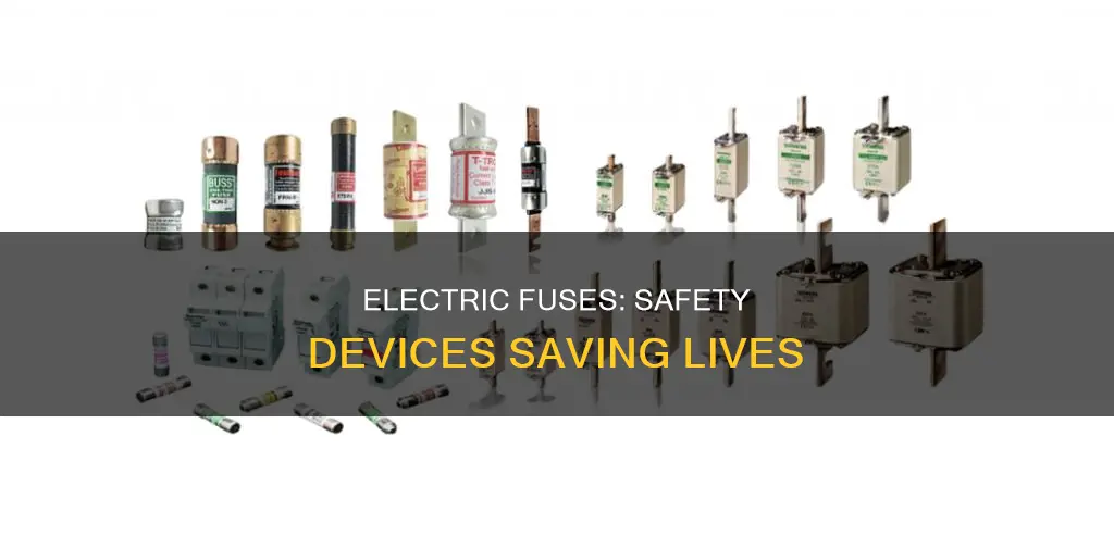 what is electric fuse write its importance