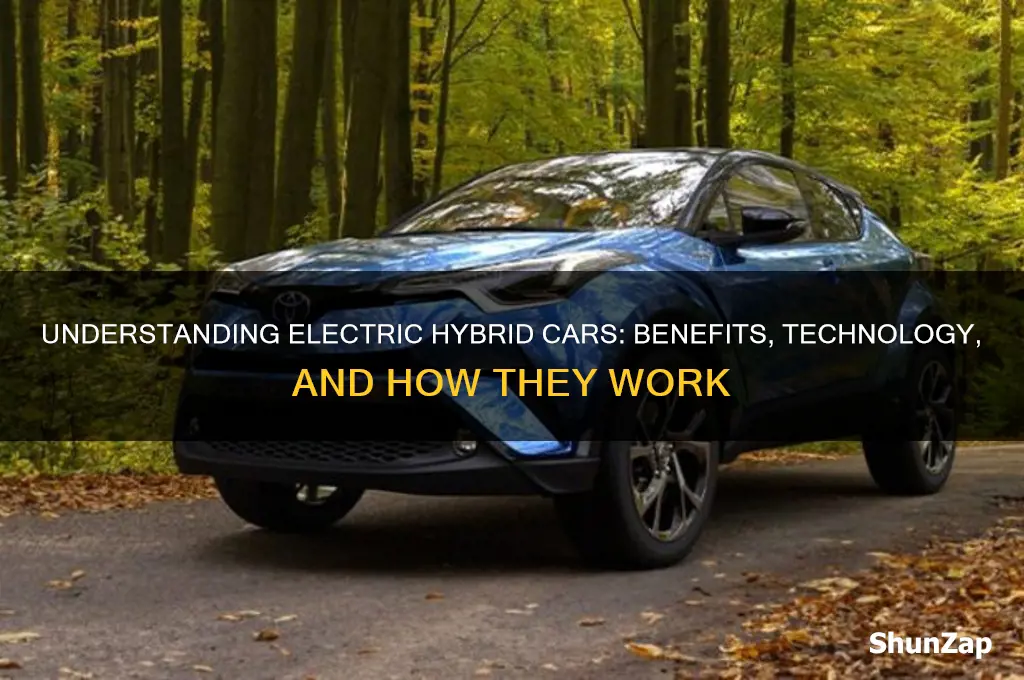 what is electric hybrid car