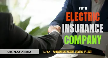 Unraveling the Mystery: Electric Insurance Company Explained