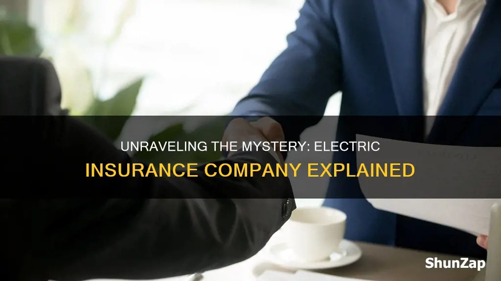 what is electric insurance company