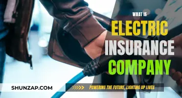 Electric Insurance Company: What You Need to Know
