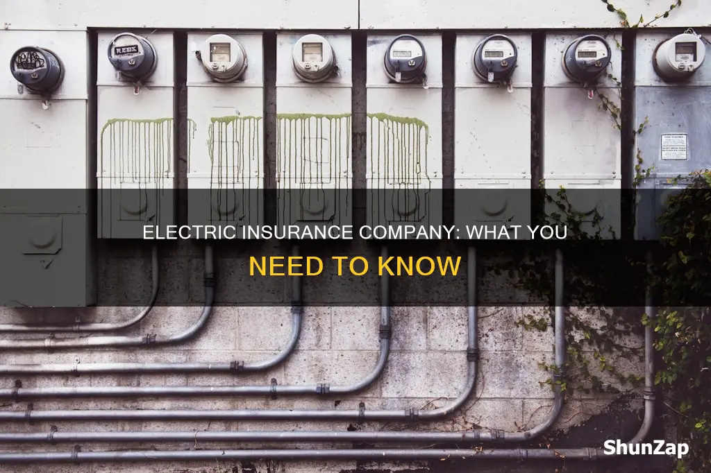 what is electric insurance company