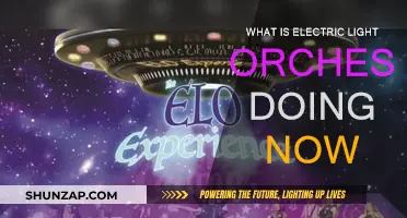 Electric Light Orchestra: Where Are They Now?