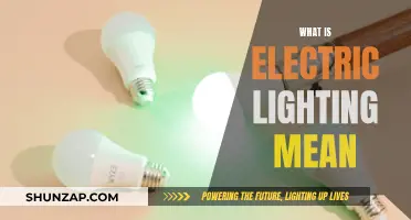 Electric Lighting: Illuminating the Meaning and Its Applications