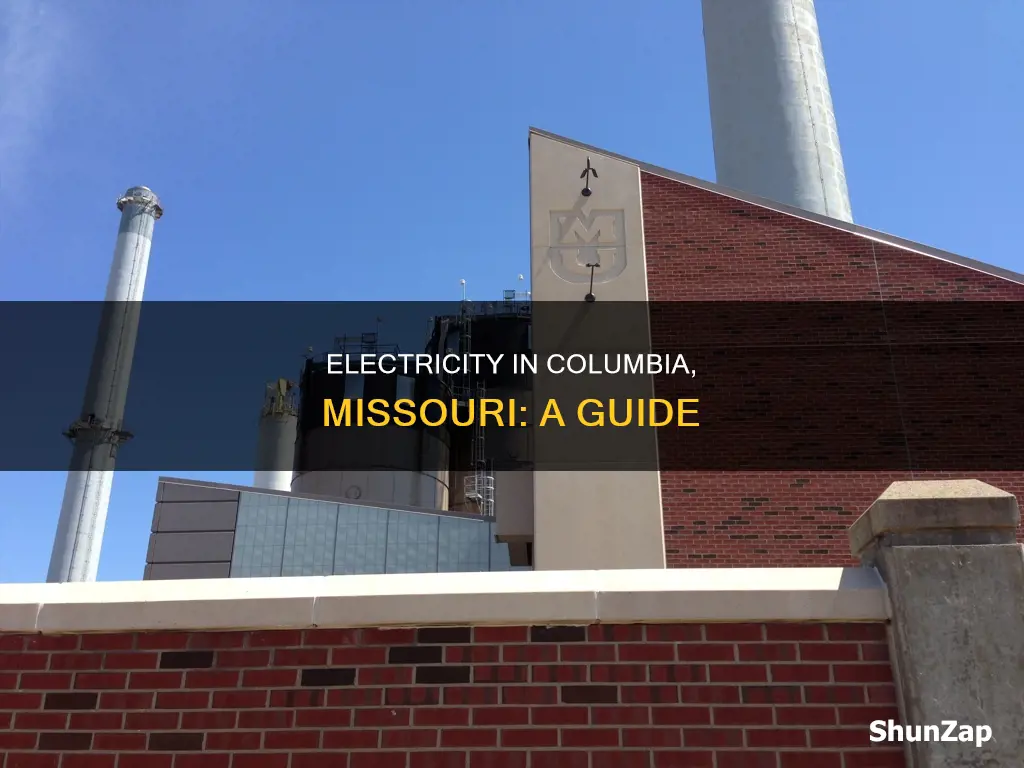 what is electric like in columbia missori