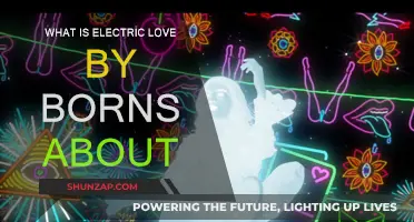 Electric Love: Borns' Song Meaning Explained