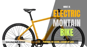 Electric Mountain Bike: The Ultimate Guide to E-MTBs