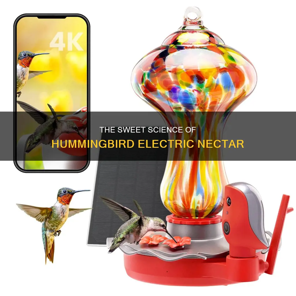 what is electric necter for humming birds