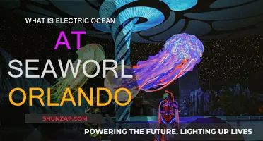 Electric Ocean: SeaWorld Orlando's Electrifying Nighttime Extravaganza