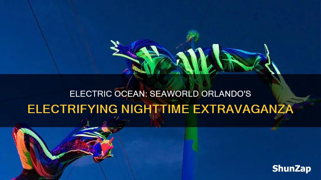 what is electric ocean at seaworld orlando