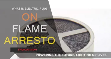 Electric Plug Flame Arrestors: Safety and Functionality