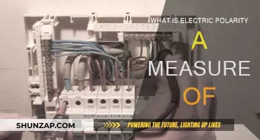 Understanding Electric Polarity: Measuring Electrical Charge Differences