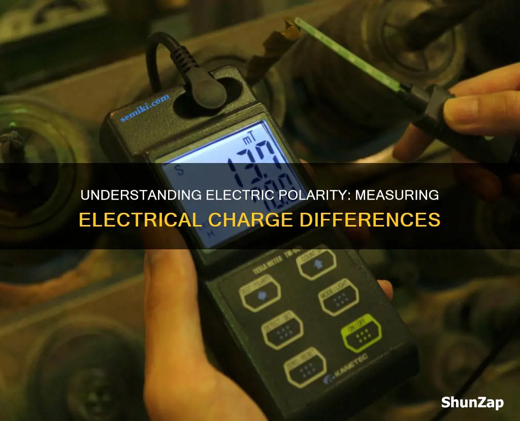 what is electric polarity a measurement of