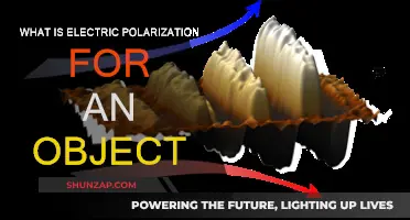 Understanding Electric Polarization: How Objects Respond
