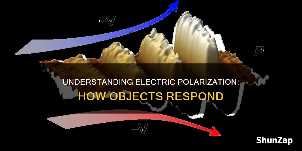 what is electric polarization for an object