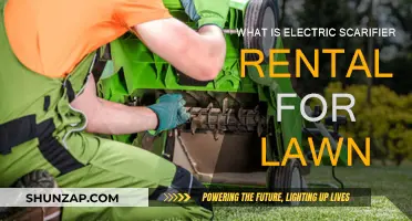 Electric Scarifier Rental: A Greener Lawn Solution