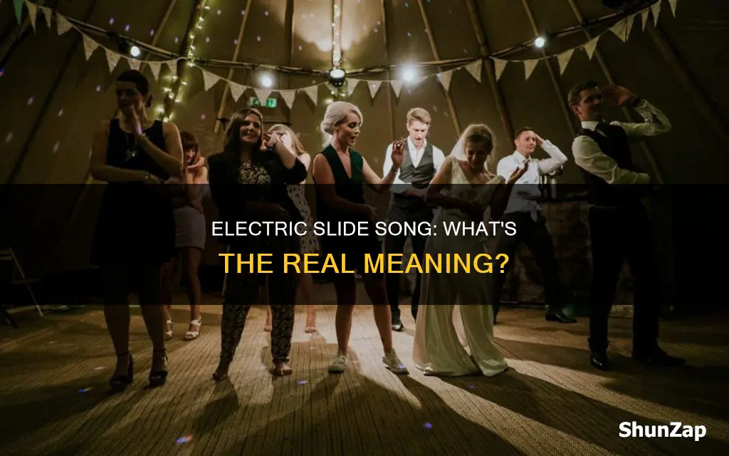 what is electric slide song talking about