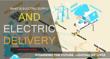 Electric Supply and Delivery: How Power Reaches You