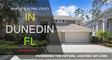 Electric Utility in Dunedin, FL: What's the Deal?