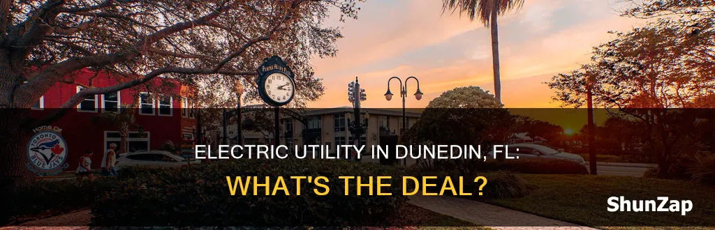 what is electric utility in dunedin fl