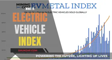 Unraveling the Mystery: Electric Vehicle Index Demystified