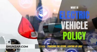 Electric Vehicle Policy: Understanding the Road Ahead