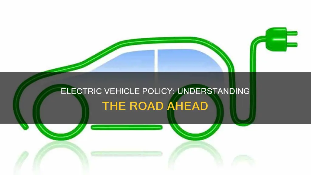 what is electric vehicle policy