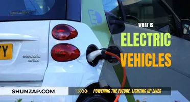 Unveiling the Future: Understanding Electric Vehicles and Their Impact