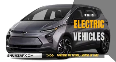 Electric Vehicles: Understanding the Basics of EV Technology
