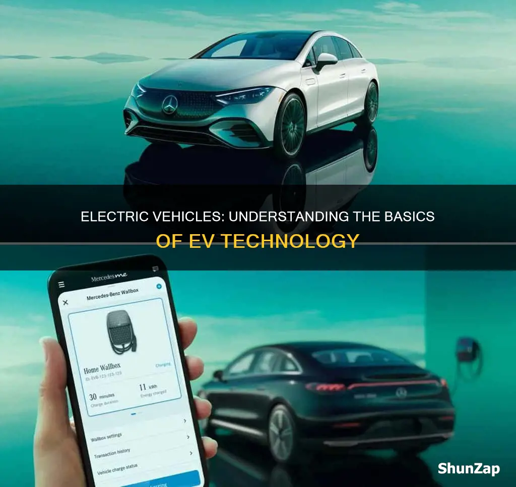 what is electric vehicles