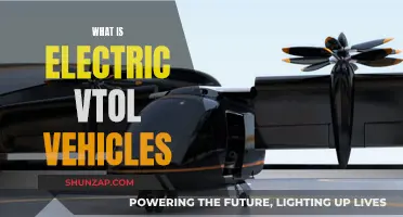 Unveiling the Future: Electric VTOL Vehicles Take Flight