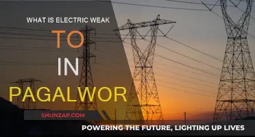 Electric Weaknesses: Understanding Pagalworld's Electrical Vulnerabilities