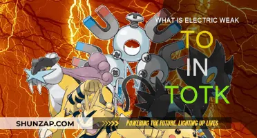 Electric Types: Weaknesses and How to Exploit Them