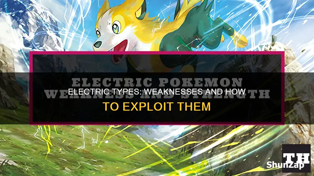 what is electric weak to in totk
