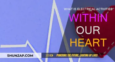 Electrical Heart Activity: Understanding Our Heart's Electrical System