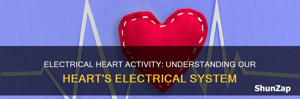 what is electrical activities within our heart