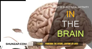 Electrical Brain Activity: Unlocking the Mind's Power