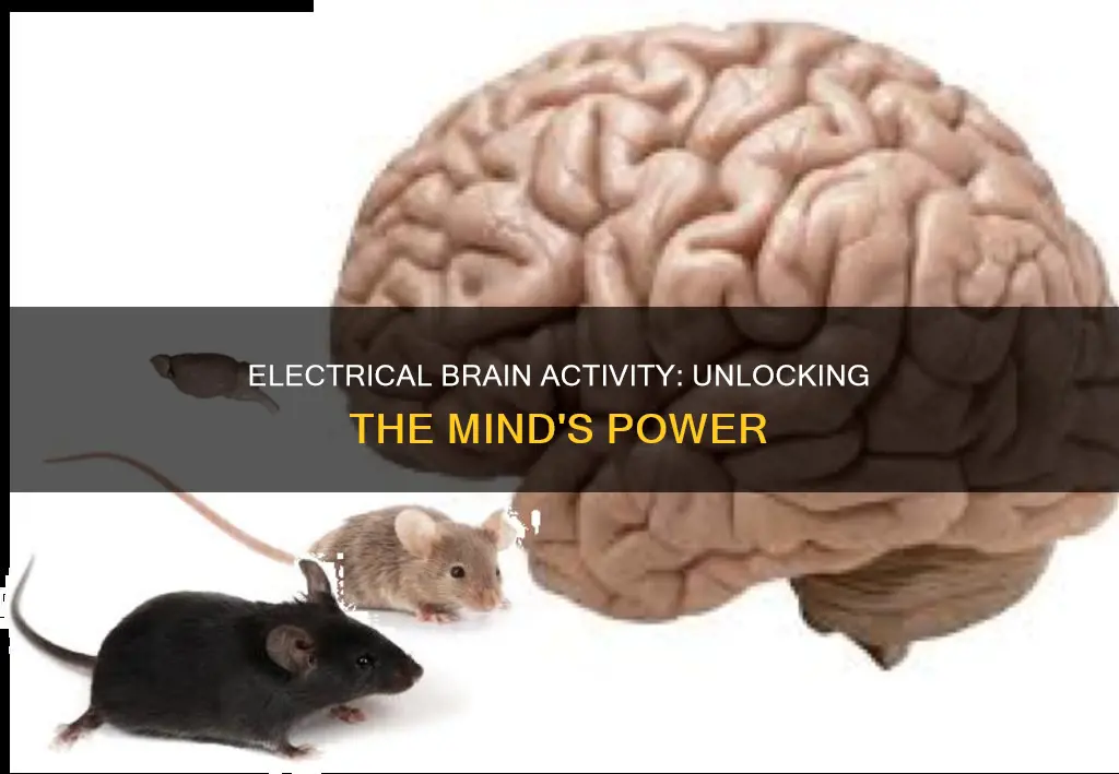 what is electrical activity in the brain