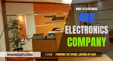 Electrical and Electronics Companies: Powering Our World
