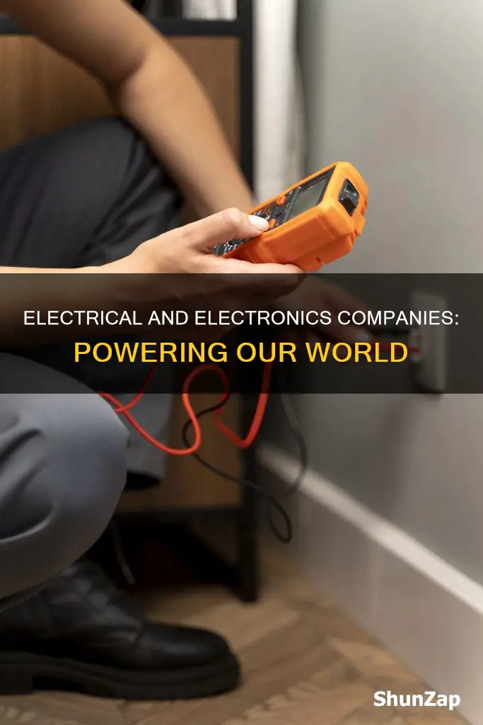 what is electrical and electronics company