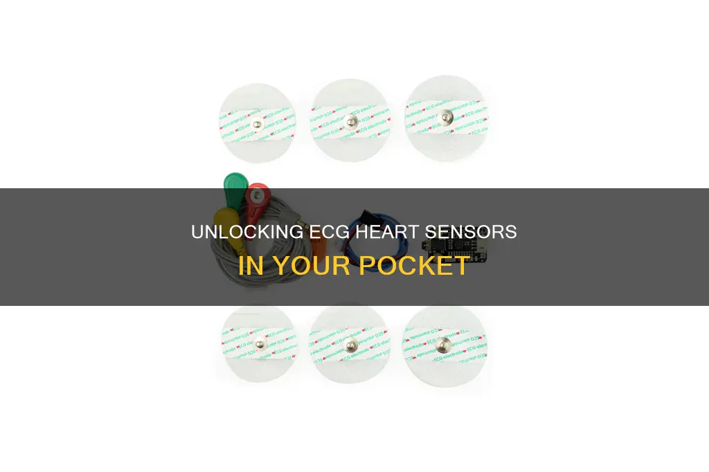 what is electrical heart sensor ecg app