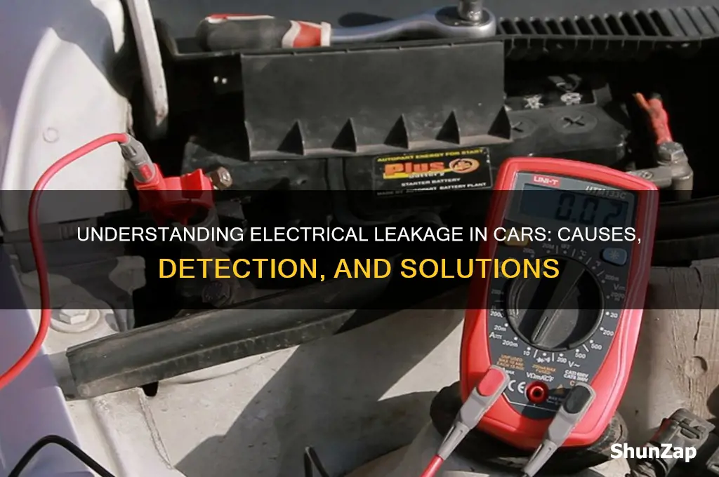 what is electrical leakage in cars