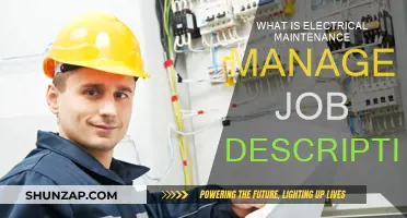 Electrical Maintenance Manager: Job Description and Daily Tasks