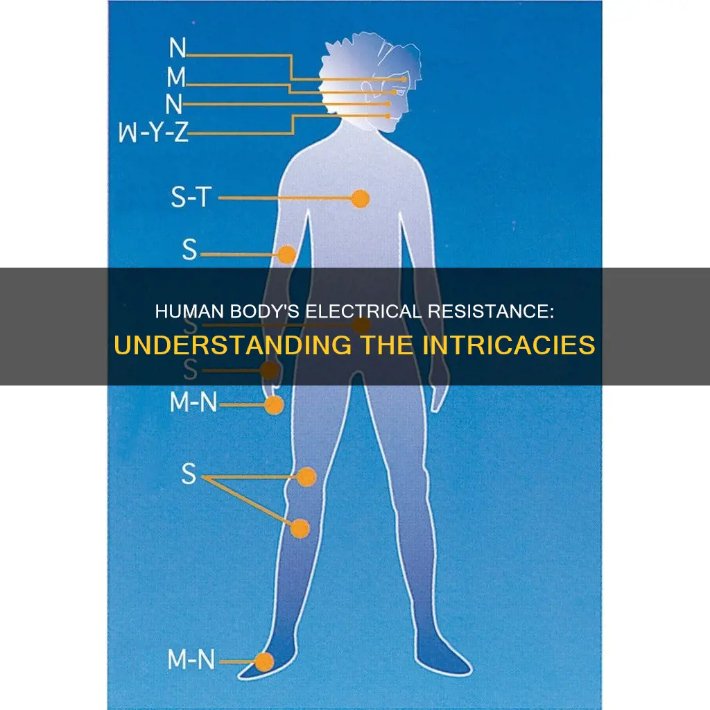what is electrical resistance of human body
