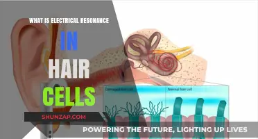 Electrical Resonance in Hair Cells: Understanding the Science
