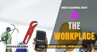 Electrical Safety: Workplace Hazards and Precautions