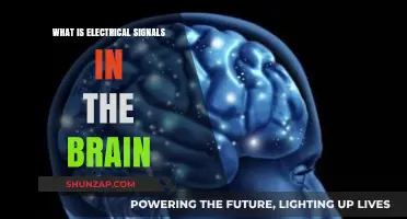 Electrical Brain Signals: Unlocking the Mind's Power